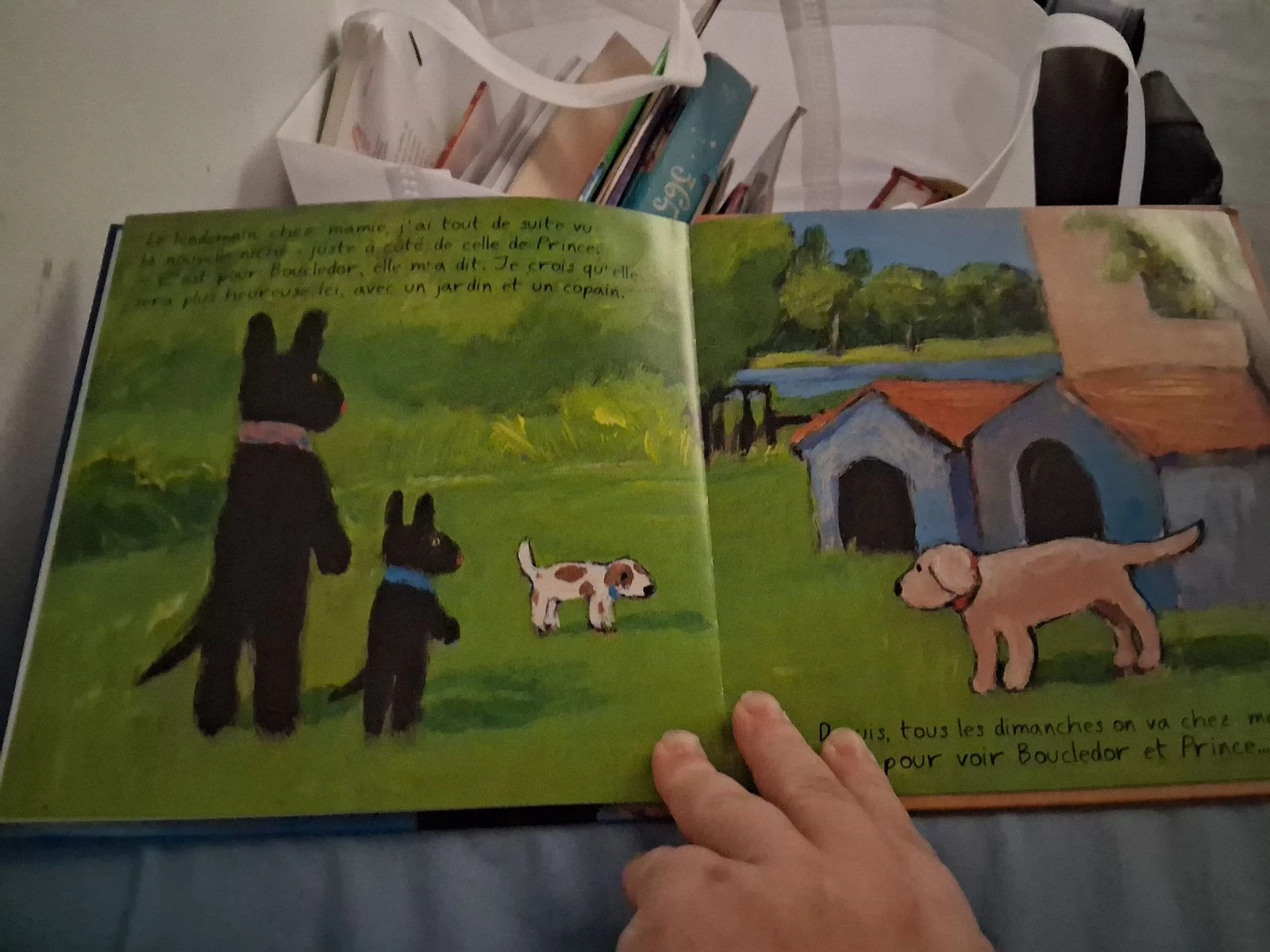 Gaspard quiere un perrito – photo 5